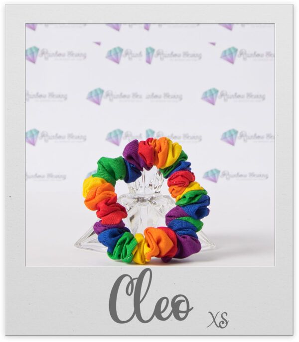 Cleo XS Scrunchie