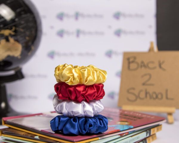 Rustenburg Noord Primary MINI Scrunchies Collection