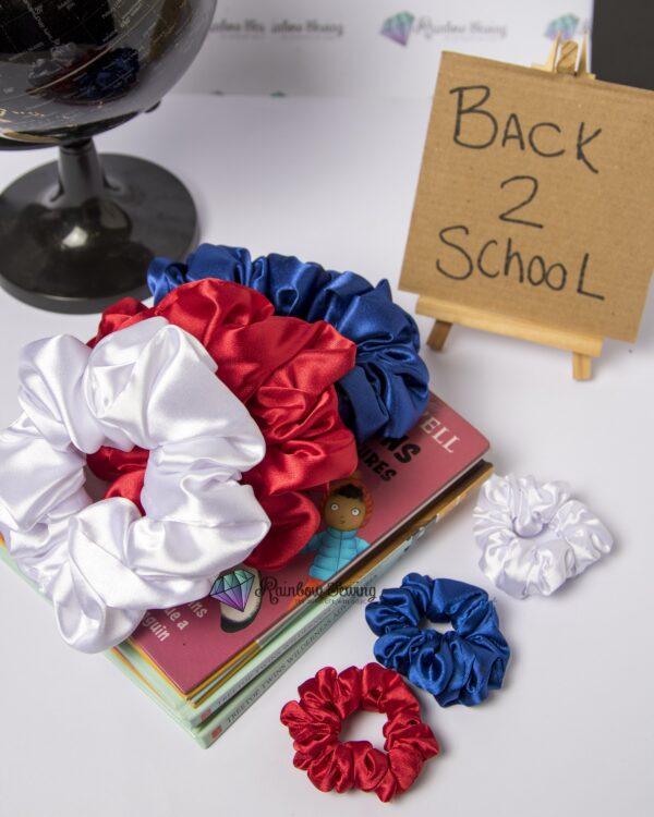 Oom Paul skool collect